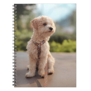 Create Your Own Pet Photo Custom Picture Notebook