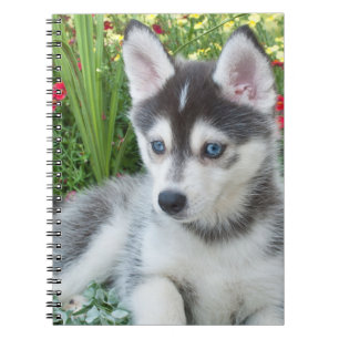 Create Your Own Pet Photo Custom Picture Notebook