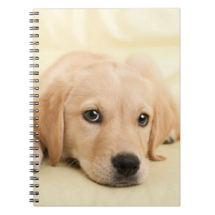 Create Your Own Pet Photo Custom Picture Notebook