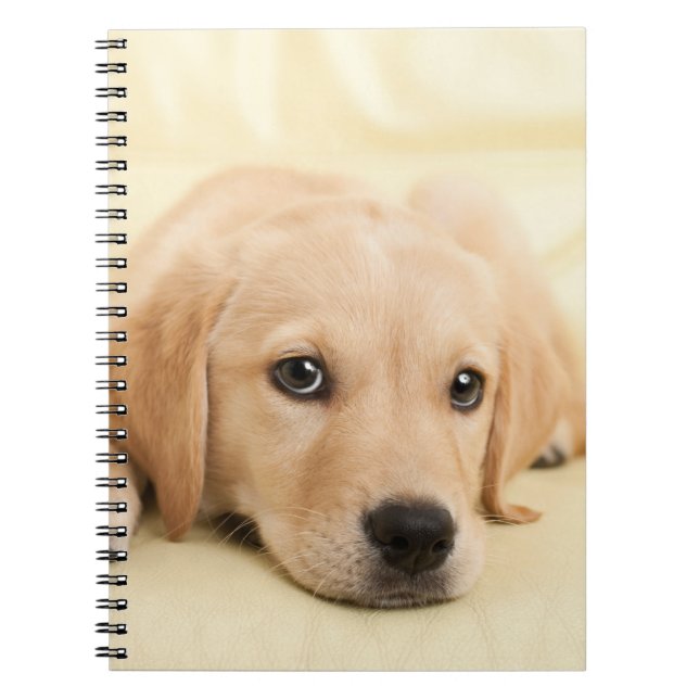 Create Your Own Pet Photo Custom Picture Notebook (Front)