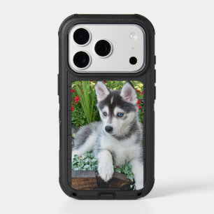 Create Your Own Pet Photo Custom Picture iPhone 17 Pro Case