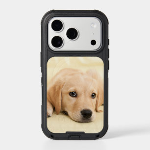 Create Your Own Pet Photo Custom Picture iPhone 17 Pro Case