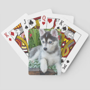 Create Your Own Pet Photo Custom Picture Poker Cards