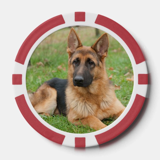 Create Your Own Pet Photo Custom Picture Poker Chips (Front)