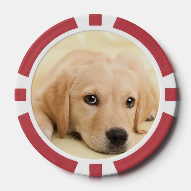 Create Your Own Pet Photo Custom Picture Poker Chips (Front)
