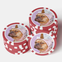 Create Your Own Pet Photo Custom Picture