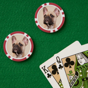 Create Your Own Pet Photo Custom Picture Poker Chips