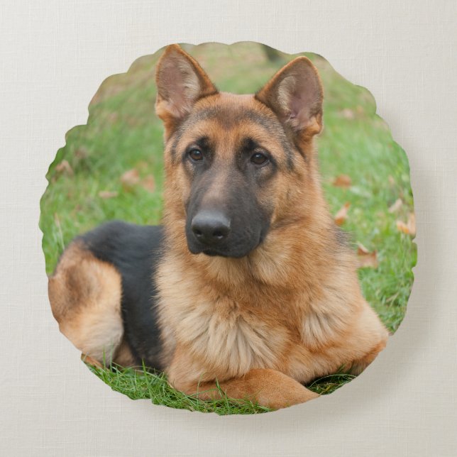 Create Your Own Pet Photo Custom Picture Round Pillow (Front)