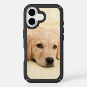 Create Your Own Pet Photo Custom Picture iPhone 16 Case