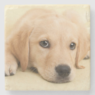 Create Your Own Pet Photo Custom Picture Stone Coaster