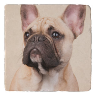 Create Your Own Pet Photo Custom Picture Trivet