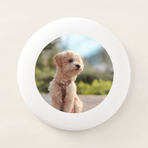 Create Your Own Pet Photo Custom Picture Wham-O Frisbee