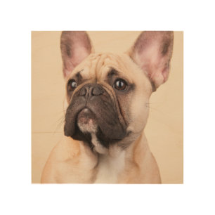 Create Your Own Pet Photo Custom Picture Wood Wall Art