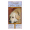 Create your own pet photo holiday card