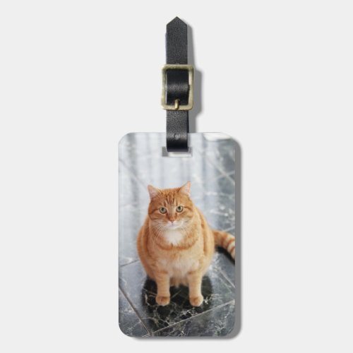 Create your own pet photo luggage tag