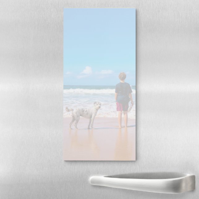Create Your Own Pet Photo Magnetic Notepads (In Situ)