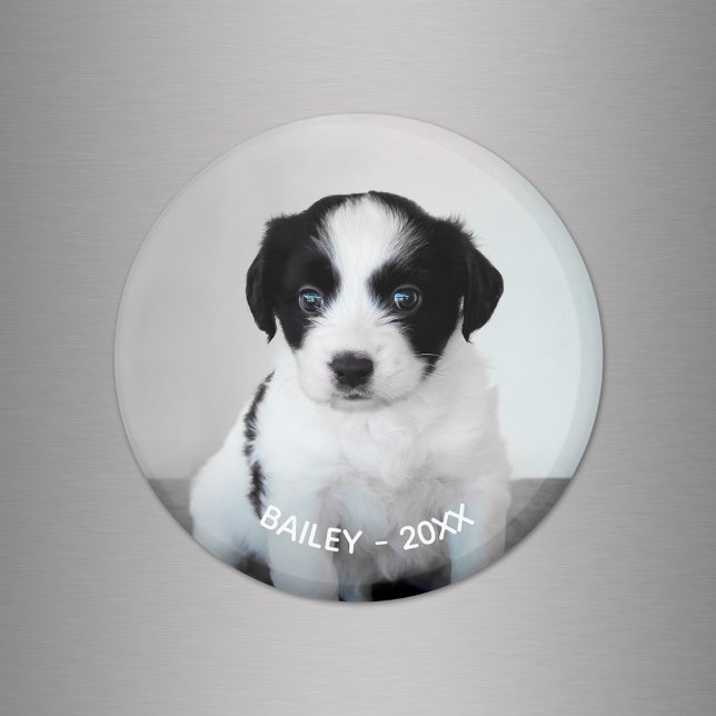 Create Your Own Pet Photo Name and Year Magnet (Create Your Own Pet Photo Name and Year Magnet, in situ)