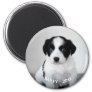 Create Your Own Pet Photo Name and Year Magnet