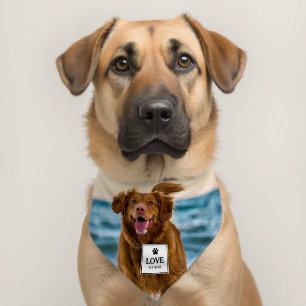 Create Your Own Pet Photo & Name Love Bandana Collar