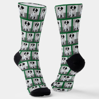 Create Your Own Pet Photo Pattern Green Border Socks