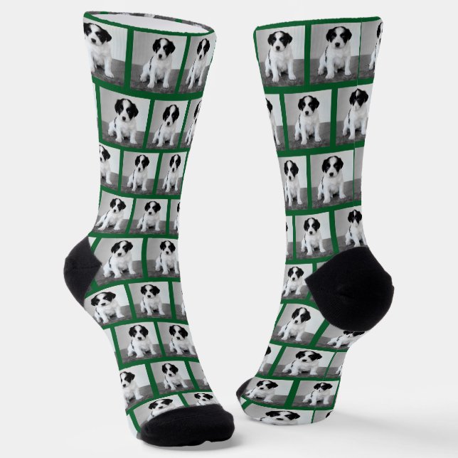 Create Your Own Pet Photo Pattern Green Border Socks (Angled)