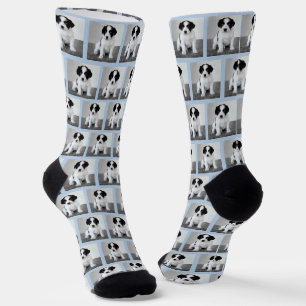 Create Your Own Pet Photo Pattern Light Blue Socks