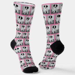 Create Your Own Pet Photo Pattern Pink Border Socks