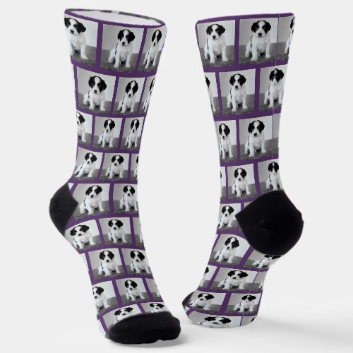 Create Your Own Pet Photo Pattern Purple Border Socks