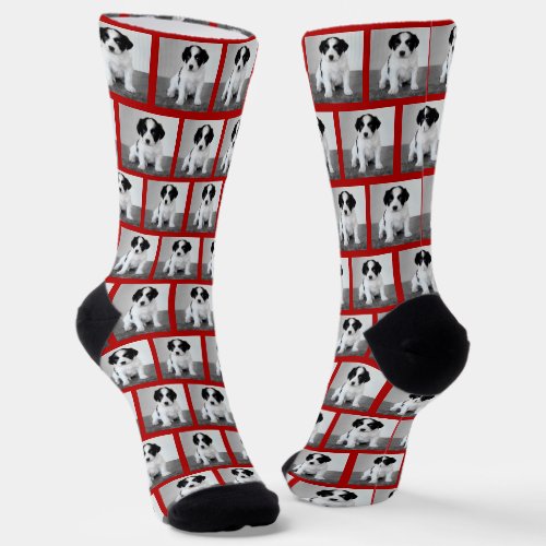 Create Your Own Pet Photo Pattern Red Border Socks