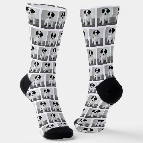Create Your Own Pet Photo Pattern White Border Socks