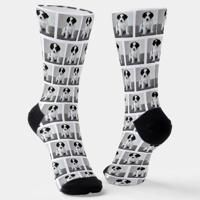 Create Your Own Pet Photo Pattern White Border Socks (Angled)