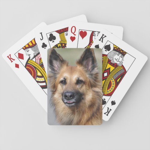 Create your own pet photo playing cards