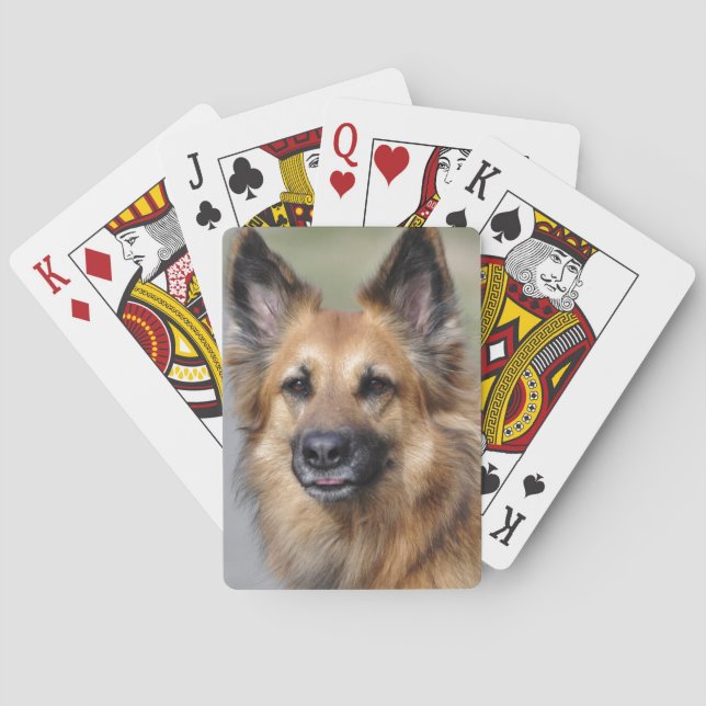 Create your own pet photo poker cards (Back)