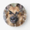 Create your own pet photo