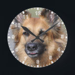 Create your own pet photo round clock<br><div class="desc">Create your own pet photo. Customize and personalize as desired.</div>