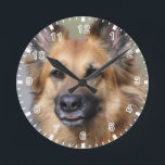 Create your own pet photo round clock<br><div class="desc">Create your own pet photo. Customize and personalize as desired.</div>