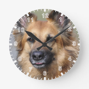 Create your own pet photo round clock