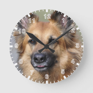 Create your own pet photo round clock