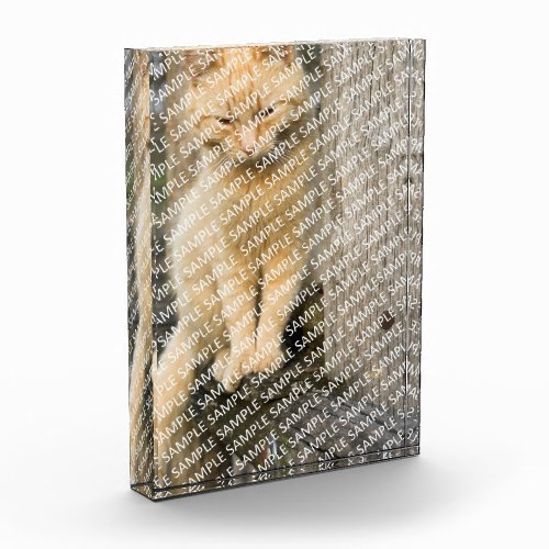 Create Your Own Pet Portrait Acrylic Block