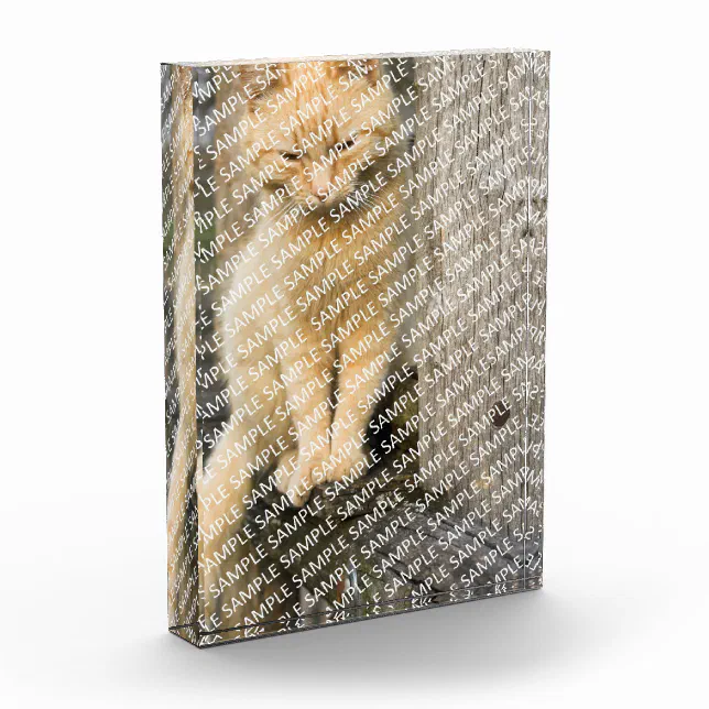 Create Your Own Pet Portrait Acrylic Block Zazzle
