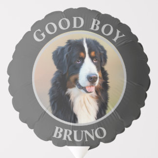 Create Your Own Pet Portrait Photo Modern Gray Balloon