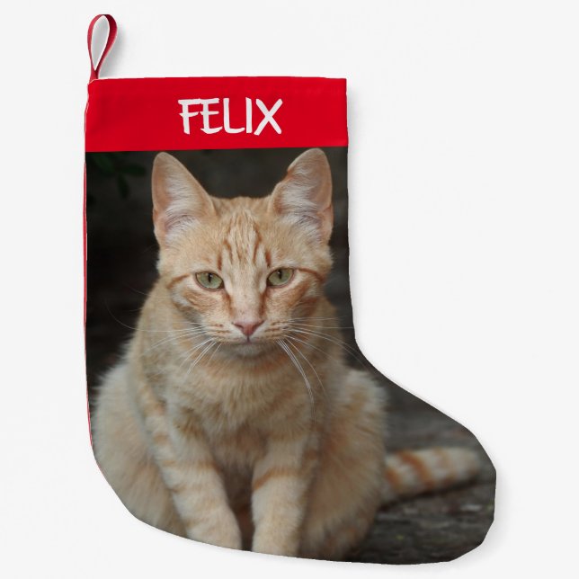 Create Your Own Pet Tabby Cat Photo  Small Christmas Stocking (Front)