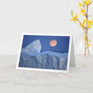 Create Your Own Photo Card