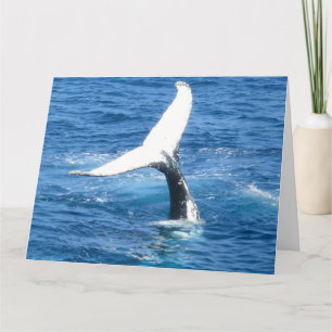 Create Your Own Photo Card