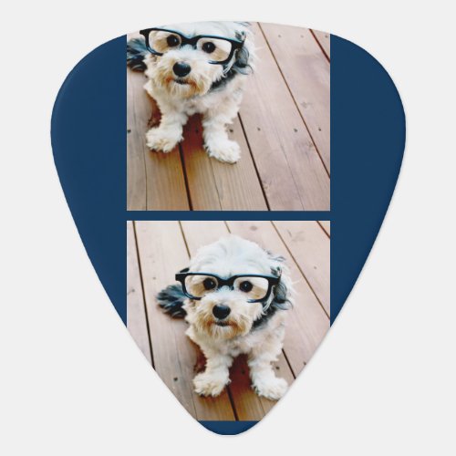 Create Your Own Photo Collage Navy 4 Pictures Guitar Pick