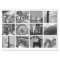 Create-Your-Own Photo Collage Tissue Paper