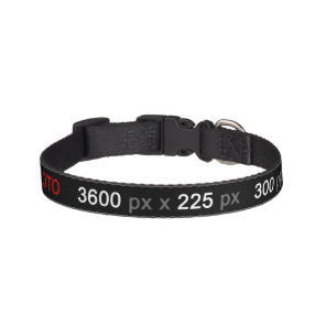 Create Your Own Photo Custom Pet Collar