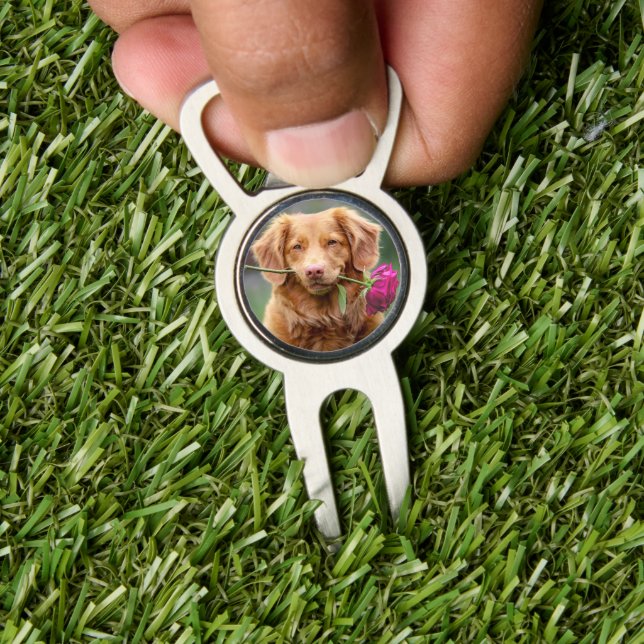 Create your Own Photo Divot Tool (Insitu 1)