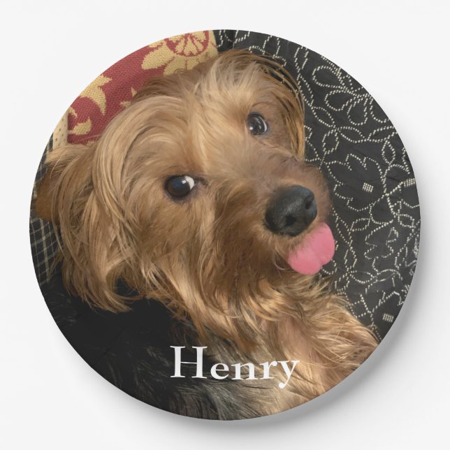 Create Your Own Photo Family Pet Paper Plates (Front)