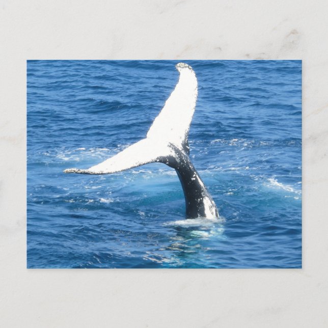 Create Your Own Photo Greeting Card (Front)